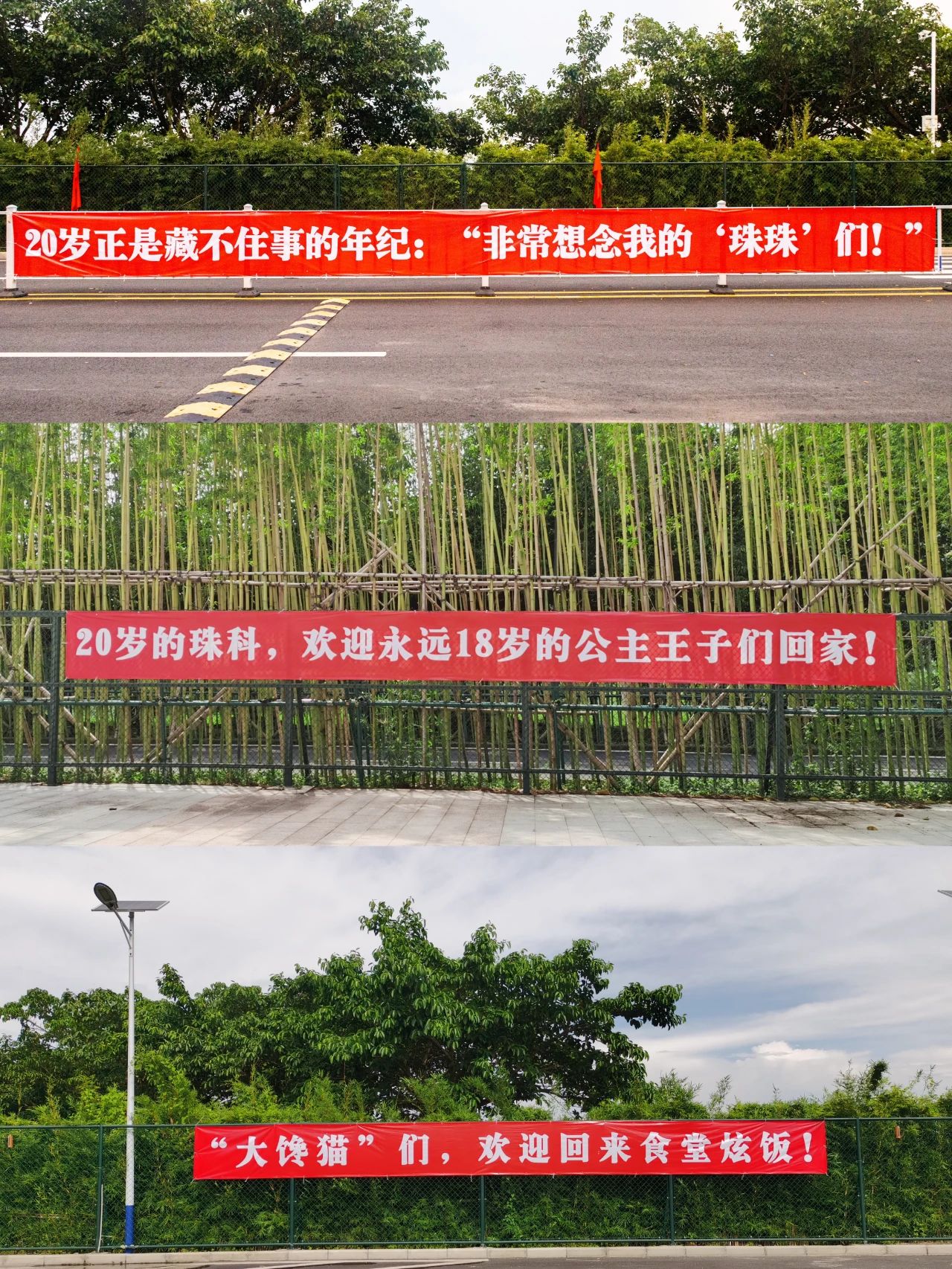 微信图片_20240902134844 微信图片_20240902134844